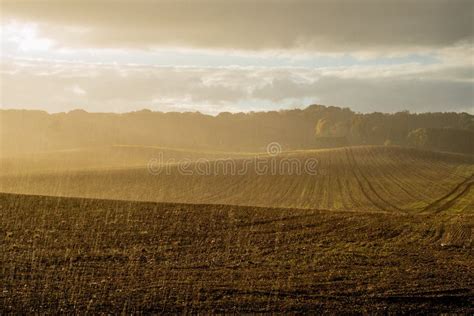 Rain Falling On Farm Field Stock Image Image Of Raindrop 80268543