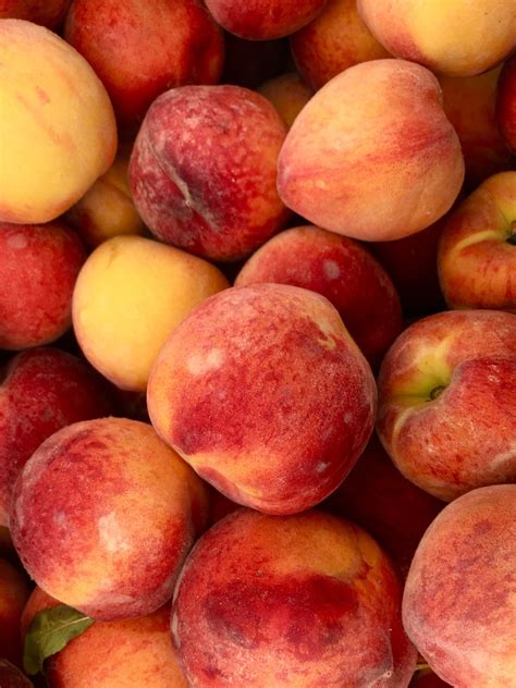 A Complete Guide To Peaches — Adventure Kitchen