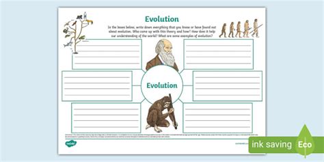 Evolution Mind Map Teacher Made Twinkl