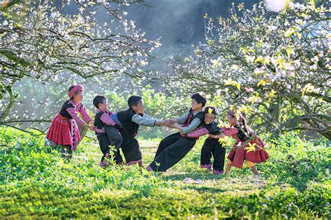 10 địa điểm du lịch Mộc Châu đẹp mê mẩn lòng người