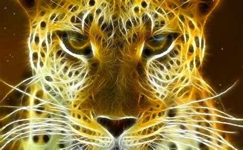 🔥 [50+] 3D Moving Cats Wallpapers | WallpaperSafari