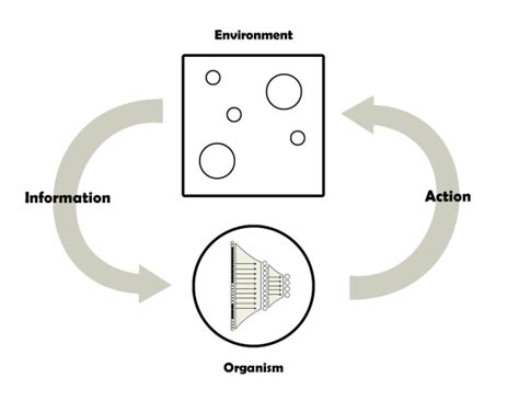 Organism Environment Relationships Download Scientific Diagram