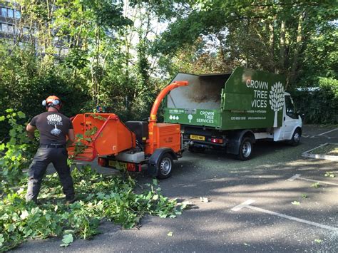 Crown Tree Surgeons Ltd 7 Newlands Court London United Kingdom