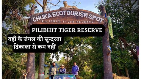 Pilibhit Tiger Reserve A Beautiful Forest Of Uttar Pradesh Youtube