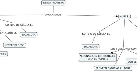 Example Reino Protista Mapa Conceptual Most Popular Campor Porn Sex