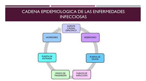 Cadena Epidemiologica Epidemias Infeccion Images Images Porn Sex Picture