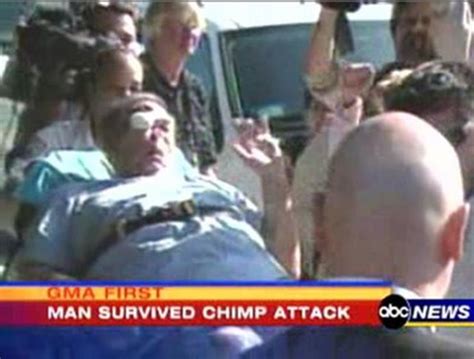 Man Attacked By Chimp Birthday Cake, California Family's Unusual Home Life Ends In Unexpected ...