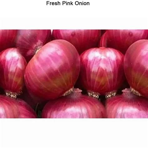 A Grade Maharashtra Fresh Pink Onion Gunny Bag Onion Size Available