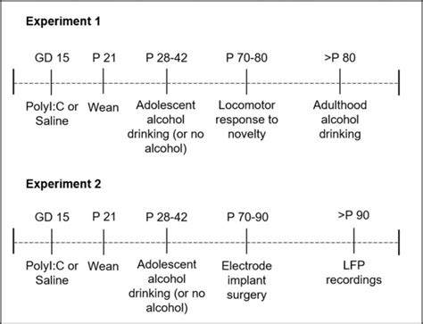 Maternal Immune Activation And Adolescent Alcohol Exposure Increase