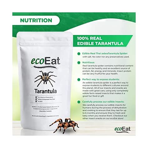 Ecoeat Edible Tarantula Spider 100 Edible Bug Edible Dehydrated