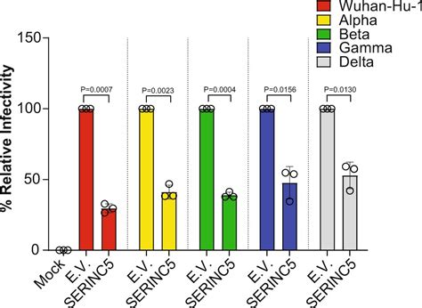 Antiviral Gene Known To Block HIV Also Shows Potent Activity Against