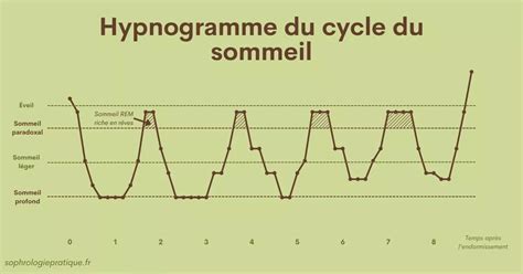 Cycle Du Sommeil Le Comprendre Pour Mieux Dormir