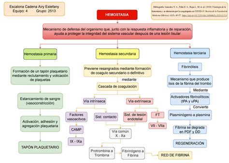 Hemostasia Primaria Y Secundaria HEMOSTASIA Mecanismo De Defensa Del
