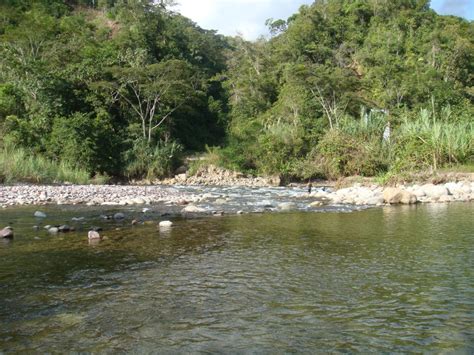 Foto de Chanchamayo Perú