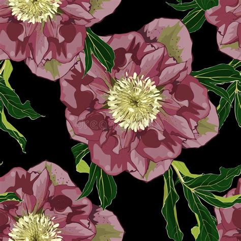 Blooming Hellebore Flowers Floral Seamless Pattern Helleborus Niger