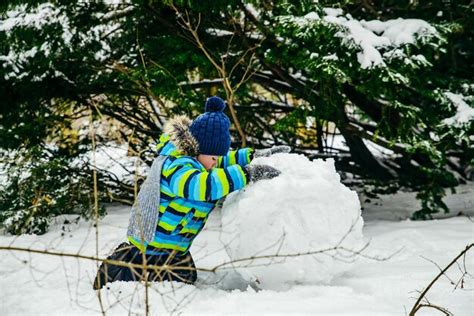 Menino Bonitinho Fazendo Boneco De Neve Rolando Grande Bola De Neve