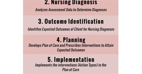 The Fundamentals Of The Nursing Process Qd Nurses