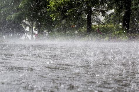 8 killed in Sri Lanka in heavy rainfall; several houses damaged - The ...