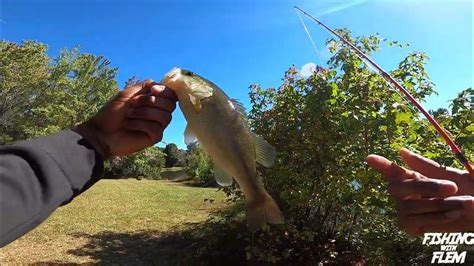 How To Catch More Bass While Bank Fishing Tips And Tricks Youtube