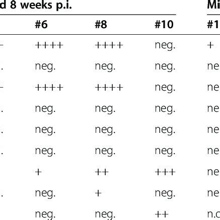 Presence Of Leishmania Donovani Dna In Various Tissues Of Balb C Mice