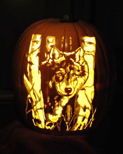 Wolf Pumpkin Carving Carved by St0ney ~ stoneykins.com | Pumpkin carving, Pumpkin carving ...