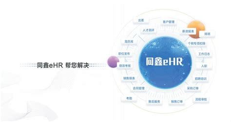 专业知名的hr系统软件有哪些品牌？同鑫科技