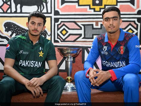 Pakistan Vs Afghanistan Under 19 World Cup Live Score Updates