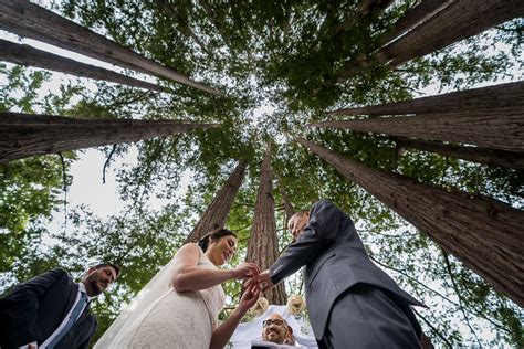 Capturing the Beauty of Nature in Wedding Photography