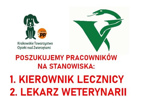 Szukamy Pracownik W Ktoz Krakowskie Towarzystwo Opieki Nad Zwierz Tami