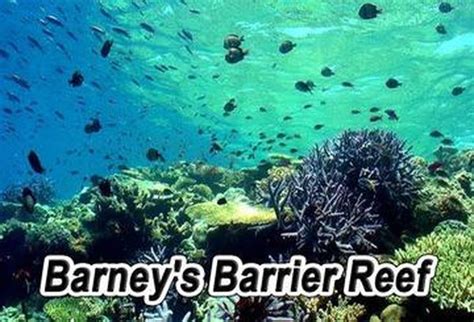 Barneys Barrier Reef Tv Show Australian Tv Guide 9entertainment