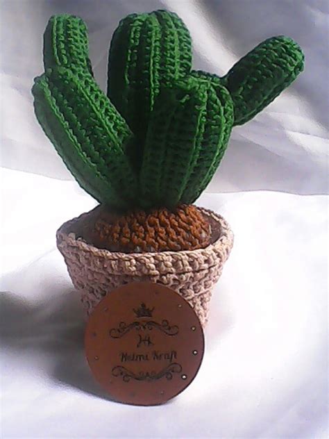 Kaktus Rajut Cactus De Ganchillo Ganchillo Cactus