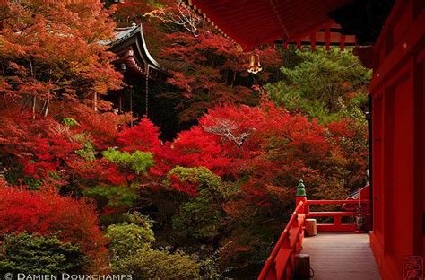 Autumn Colors In Kyoto Kyoto Fall Colors Japan Garden