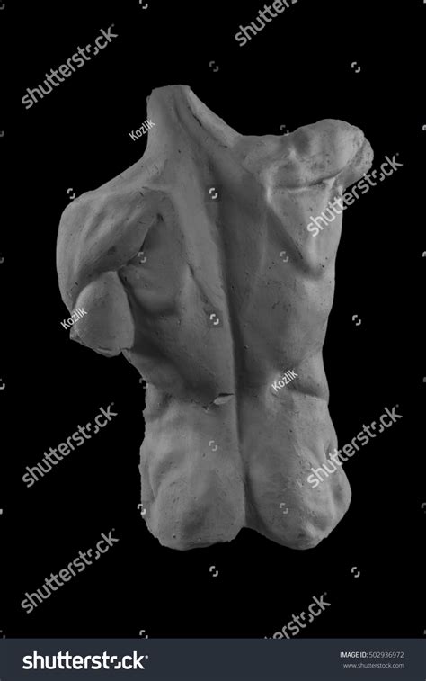 Plaster Statue Naked Man Torso Anatomical Stock Photo 502936972 Shutterstock