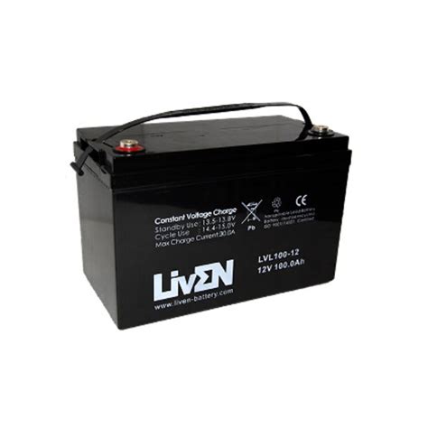 Batería Agm De 12v Y 100ah Liven Todo Sai