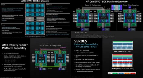 Amd Genoa