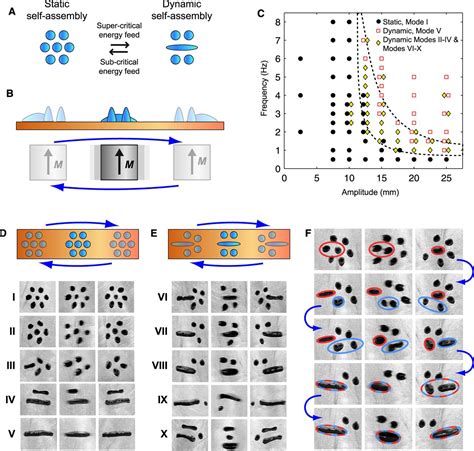 Switchable Static And Dynamic Self Assembly Of Magnetic Droplets On