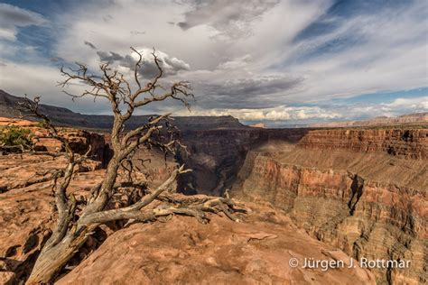 Usa S Dwesten Arizona Grand Canyon North Rim Toroweap Point