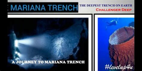 Mariana Trench Creatures Scarier Than Megalodon How Deep Is The Mariana