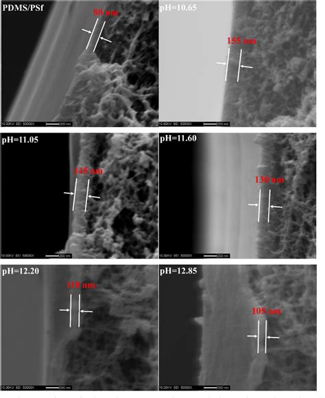 Figure 1 From High Performance Microporous Polymer Membranes Prepared