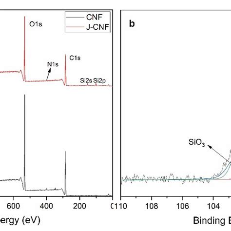 X Ray Photoelectron Spectroscopy Xps Spectra Of Cnf And J Cnf A