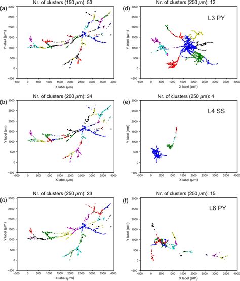 Cluster Analysis Of The L Sc Boutons Ac And Comparison With That Of