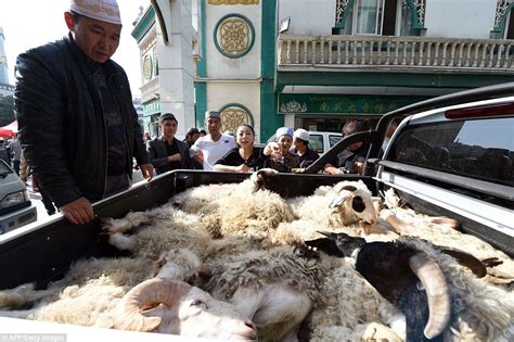 Eid Al Adha Goat Sacrifice 3 Glorios As Palavras