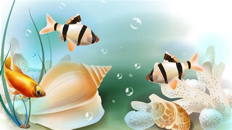 Aquarium Fish Images Hd Wallpapers For Pc Infoupdate Org