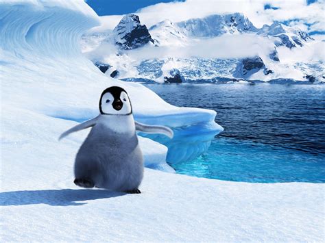 Happy Feet Wallpapers Top Free Happy Feet Backgrounds Wallpaperaccess