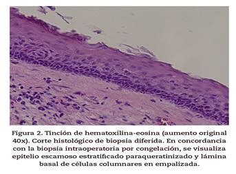 Correlación entre los hallazgos de la biopsia intraoperatoria y el