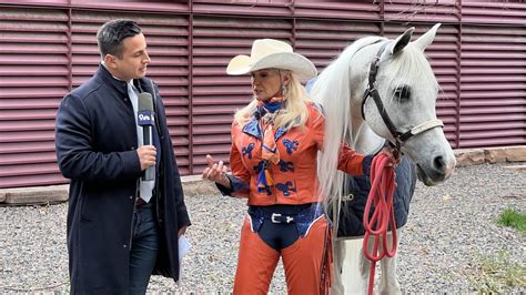 Broncos' mascot Thunder to miss Sunday's game | 9news.com