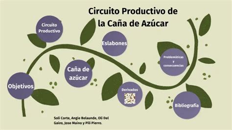 Circuito Productivo Ca A De Az Car Etapas Y Proceso En Pocas Palabras