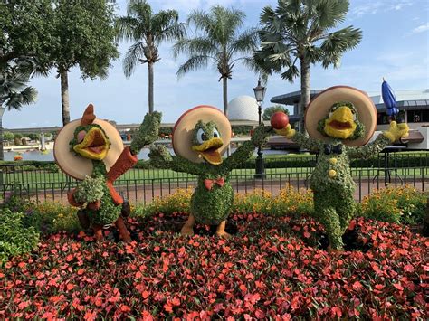 Epcot Flower And Garden Pictures Of Flowers Vonny Johnette