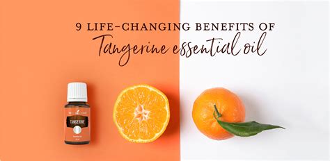 9 Life Changing Benefits Of Tangerine Essential Oil Young Living Blog