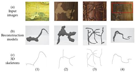 Agronomy Free Full Text Three Dimensional Reconstruction And